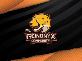 ML Acinonyx Community